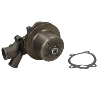 POMPA WODY MASSEY FERGUSON LANDINI 3637468M91