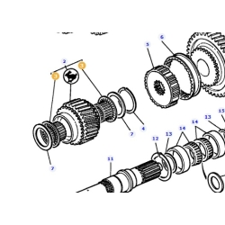 ŁOŻYSKO IGIEŁKOWE MASSEY FERGUSON 3382217M2